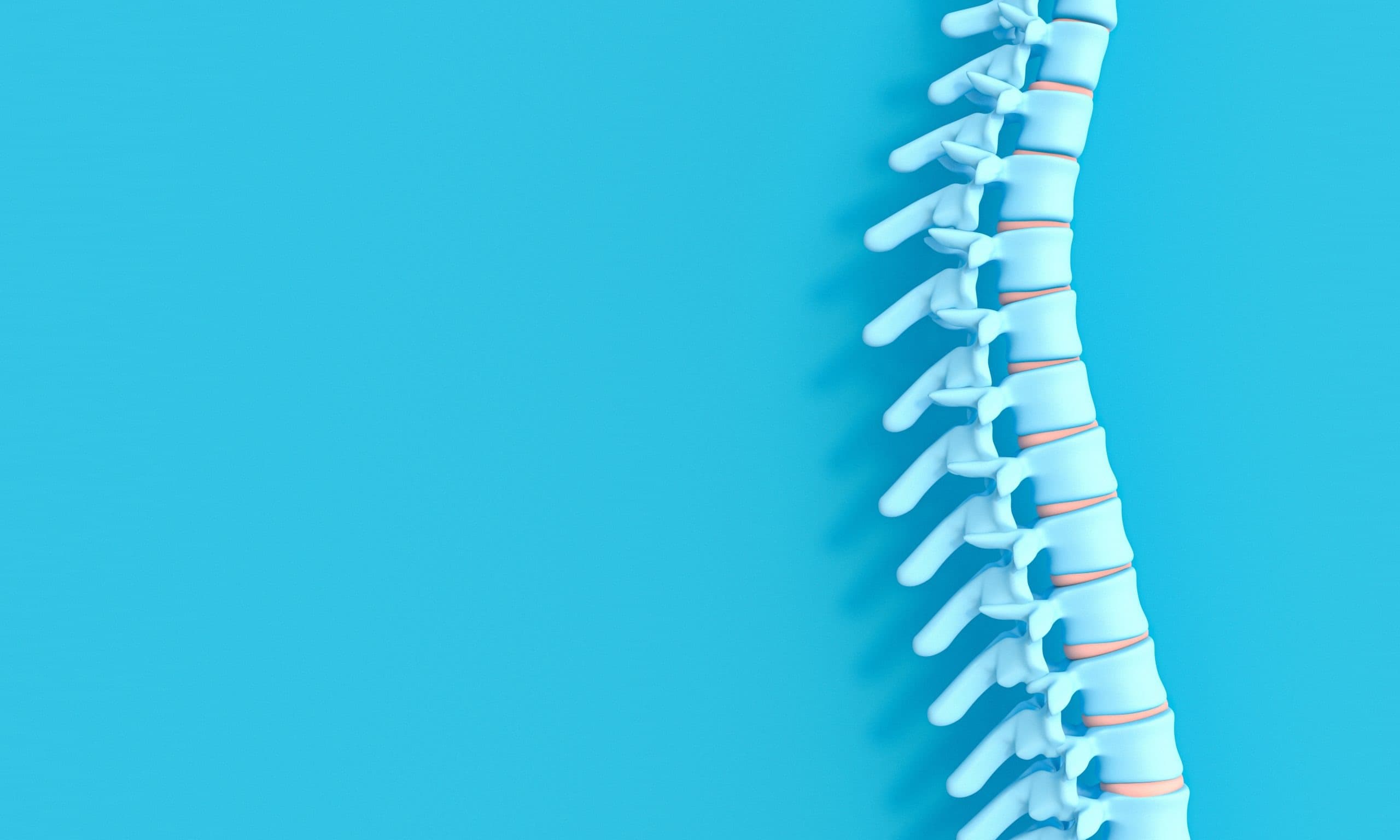 3D spine